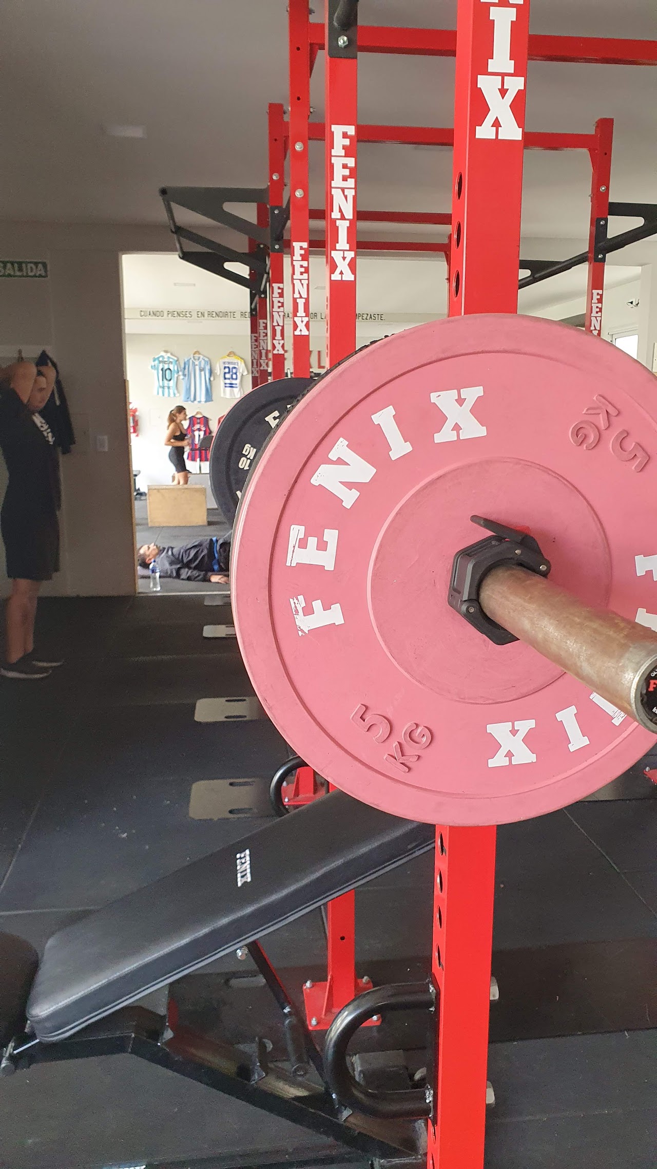 Sector de Rigs y entrenamiento funcional APF XL Castelar